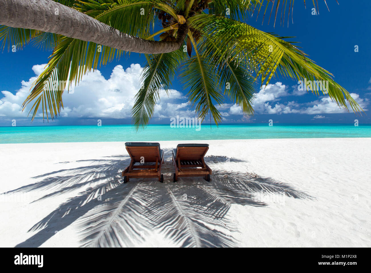 Two deck chairs under palm trees and tropical beach, The Maldives, Indian Ocean, Asia Stock Photo