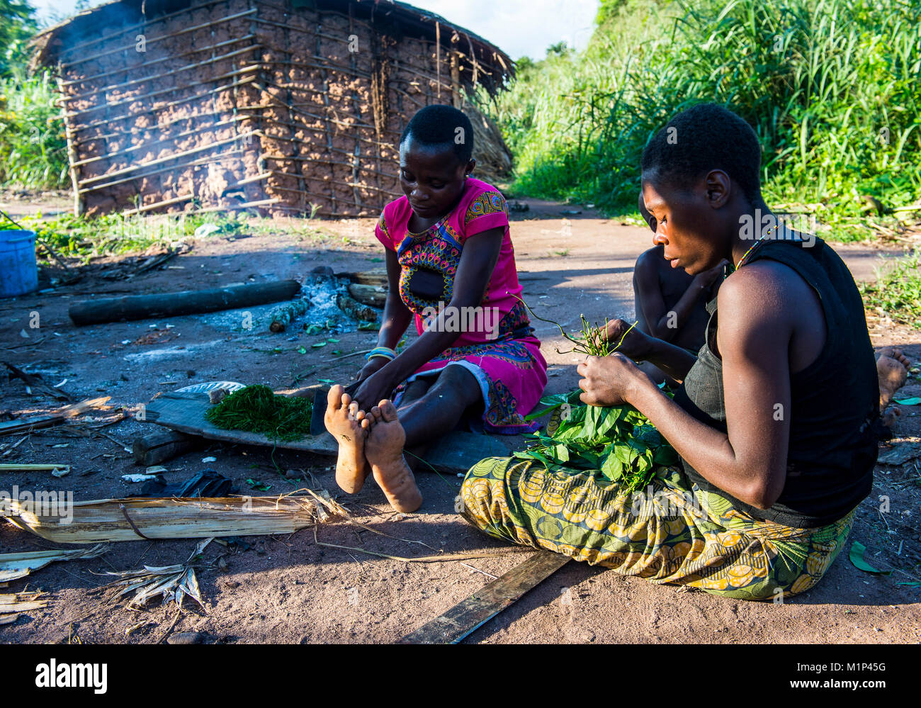 Baka pygmies preparing food in the Dzanga-Sangha Special Reserve, UNESCO World Heritage Site, Central African Republic, Africa Stock Photo