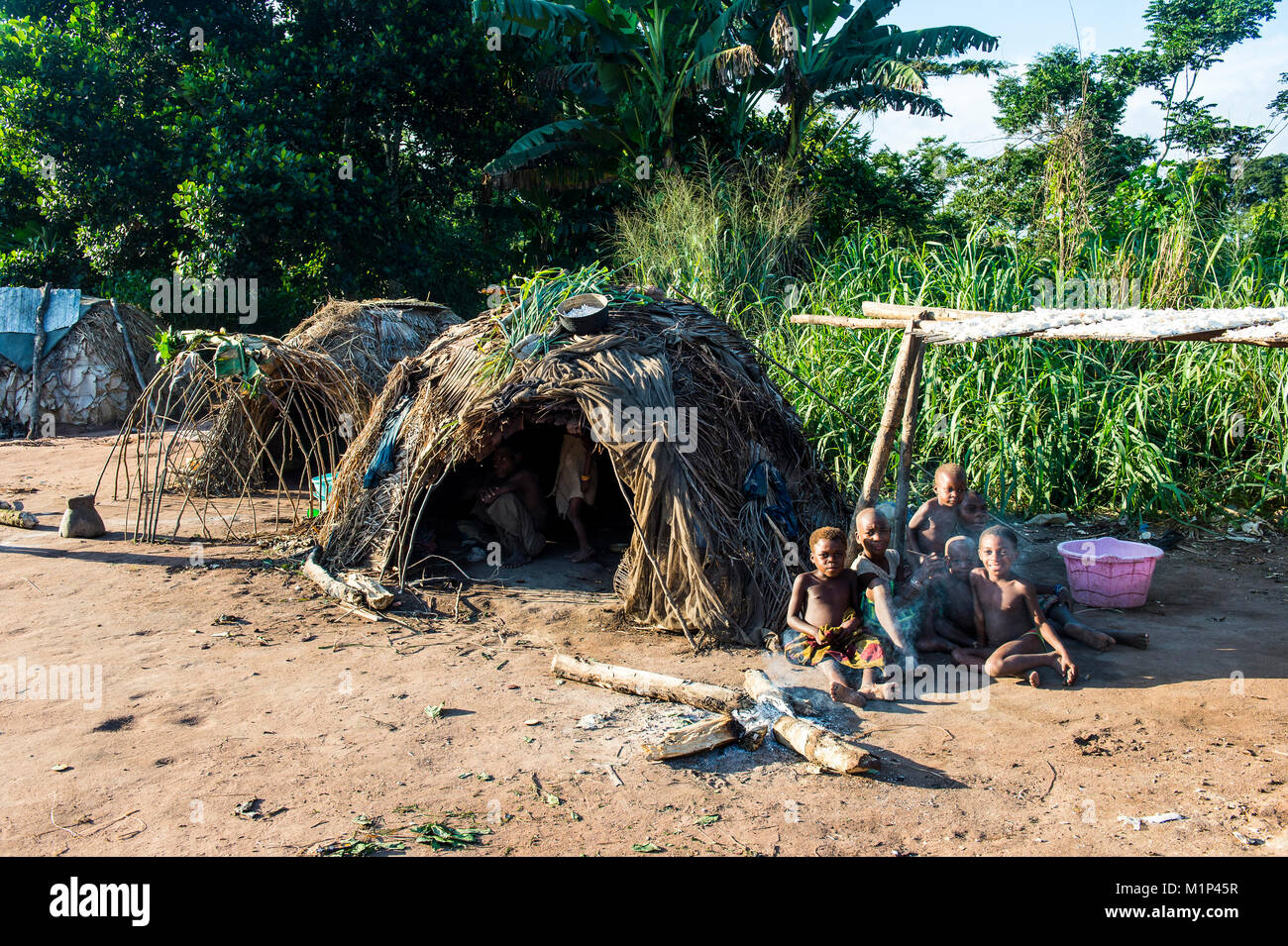 Traditional Baka pygmy village in the Dzanga-Sangha Special Reserve, UNESCO World Heritage Site, Central African Republic, Africa Stock Photo