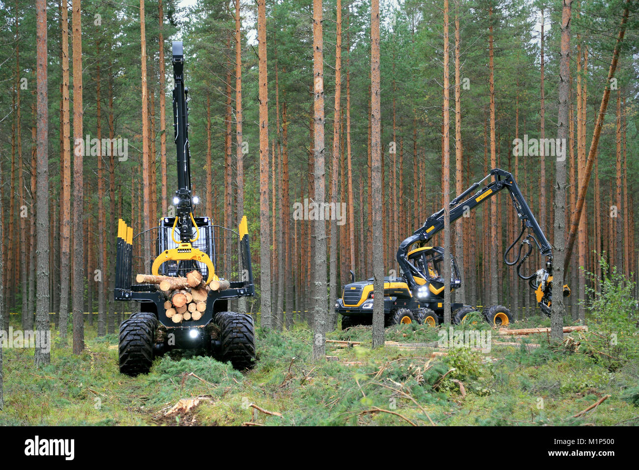JAMSA, FINLAND - AUGUST 30, 2014: Ponsse forwarder Buffalo and harvester Scorpion in a work demo. Ponsse presents its new Model Series 2015 at FinnMET Stock Photo