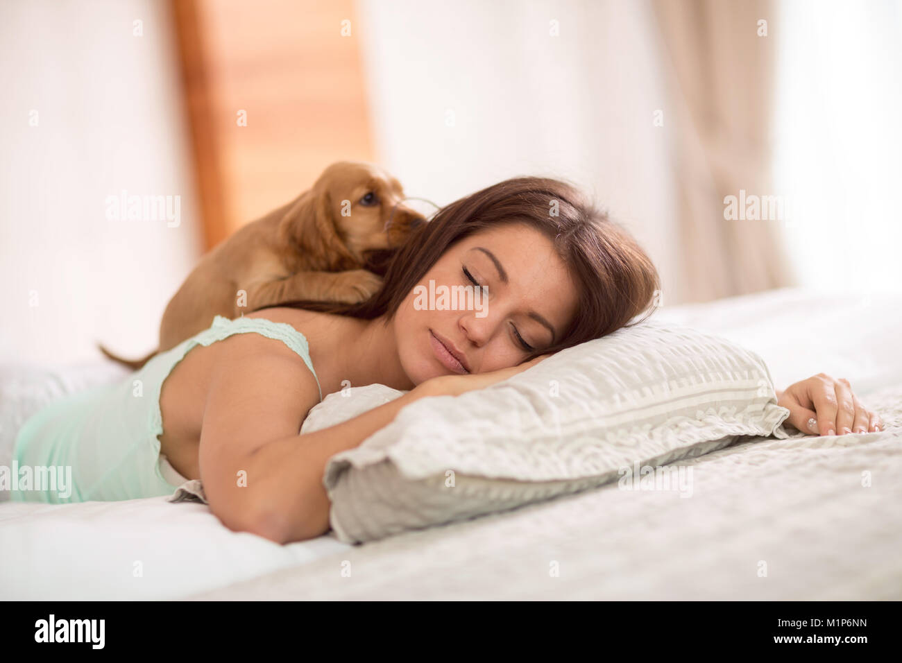 Very nice puppy is bored and wake up his mistress in bedroom Stock Photo