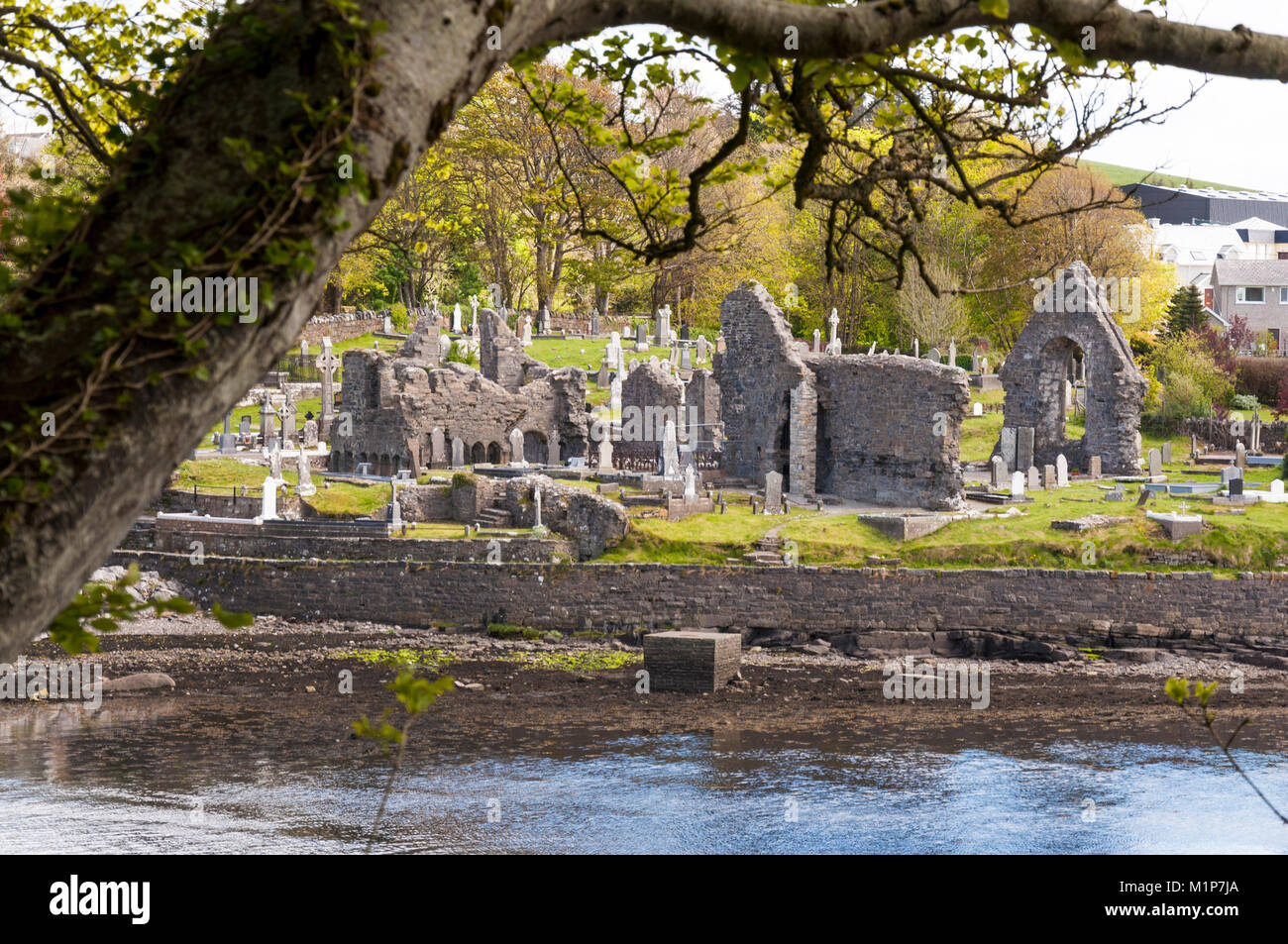 Ruins of Donegal Abbey and cemetery by River Eske, Donegal Town, Ireland Stock Photo