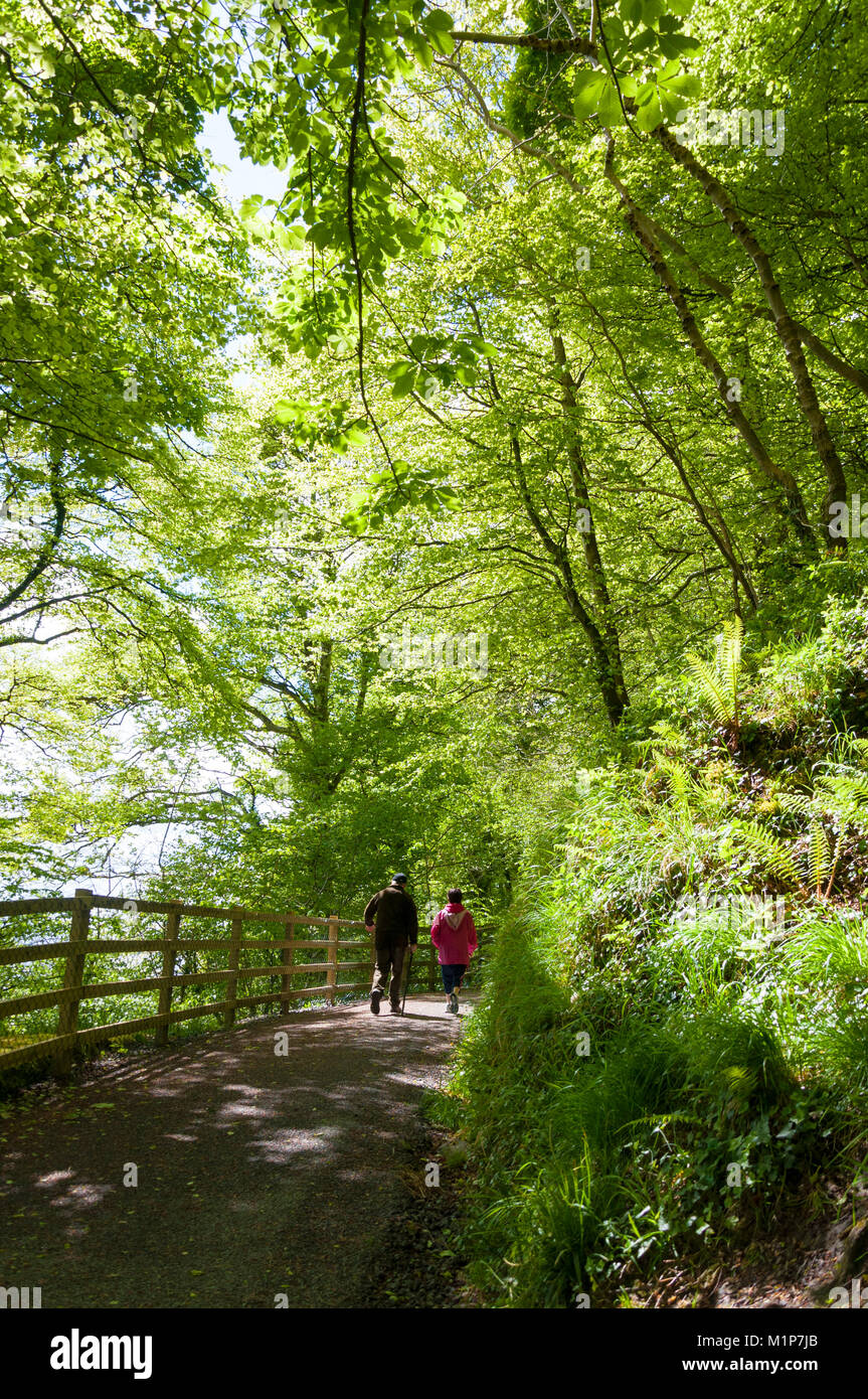 A couple walking along the River Walkway by River Eske, Donegal Town, Ireland Stock Photo