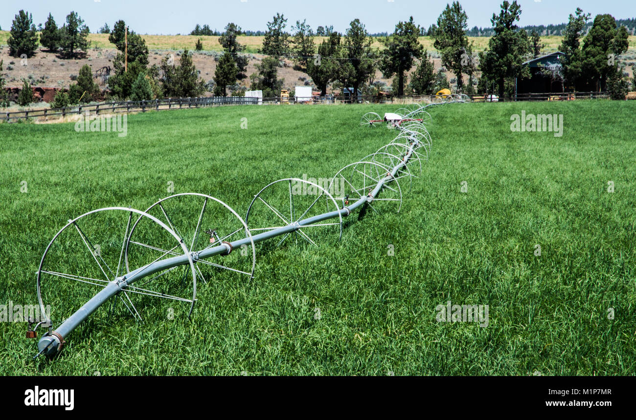 Irrigation equipment in a central Oregon field Stock Photo Alamy