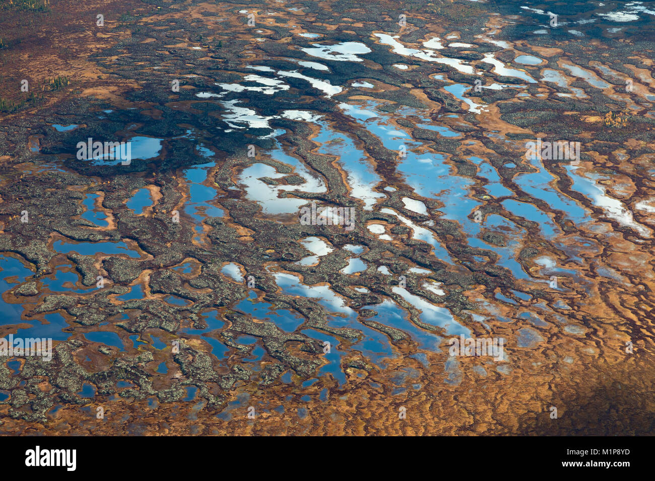 Clouds above the swamp, top view Stock Photo