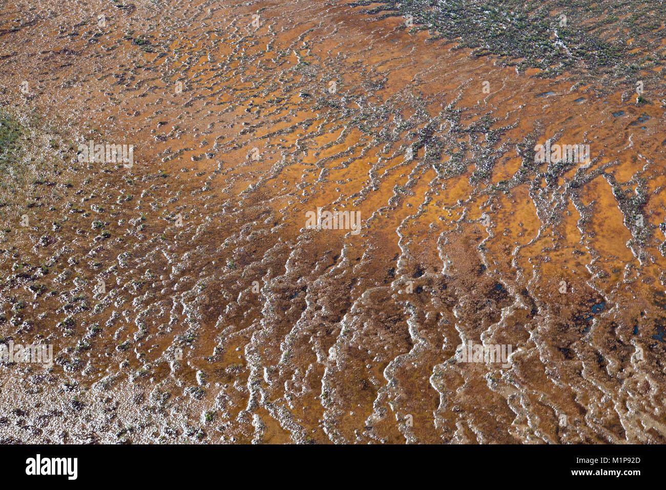 Swamp in autumn, top view Stock Photo