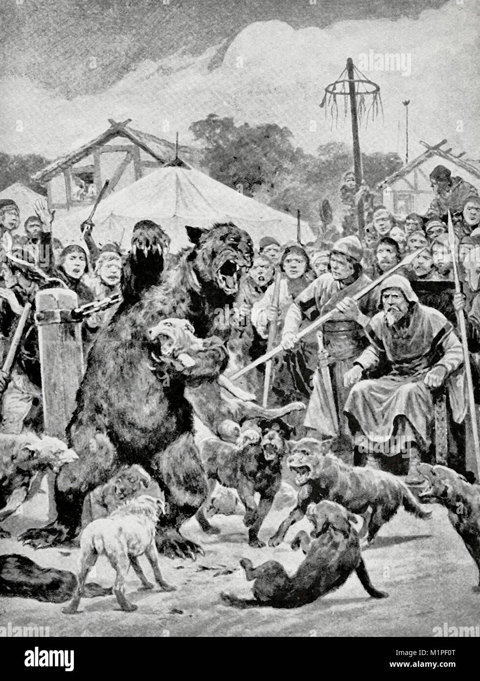 Bear baiting in Saxon times Stock Photo