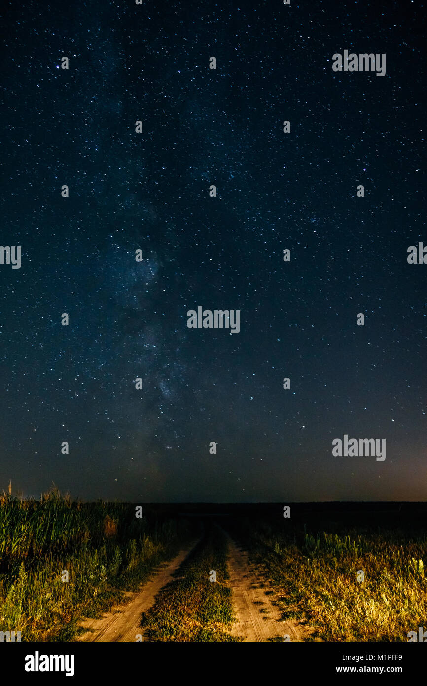 The night the starry sky with the Milky Way over a field of corn Stock ...