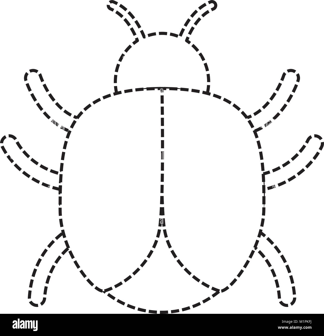Bed bug Black and White Stock Photos & Images - Alamy
