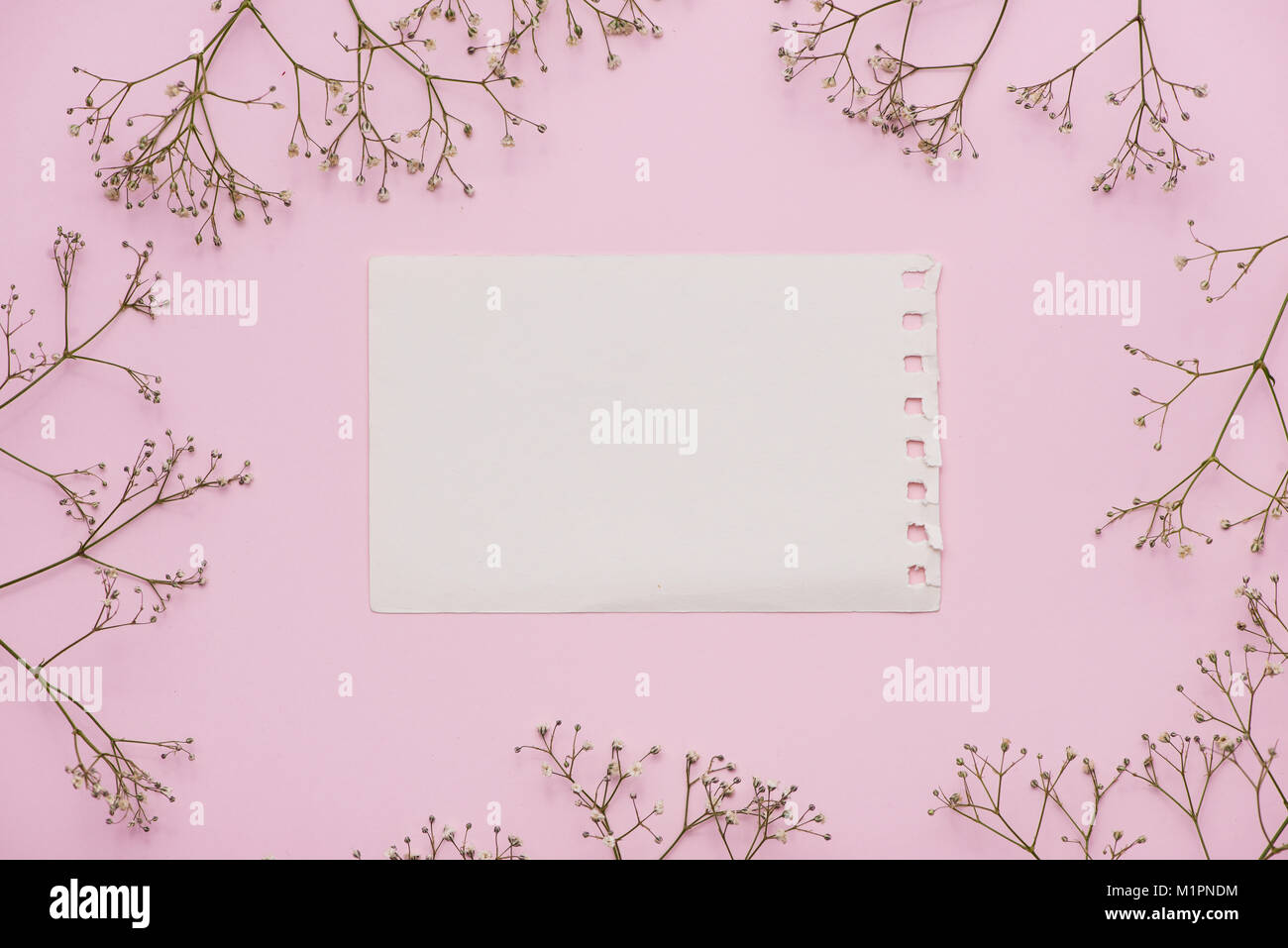 White blank card with pastel flowers and ribbon on pink pale background ...