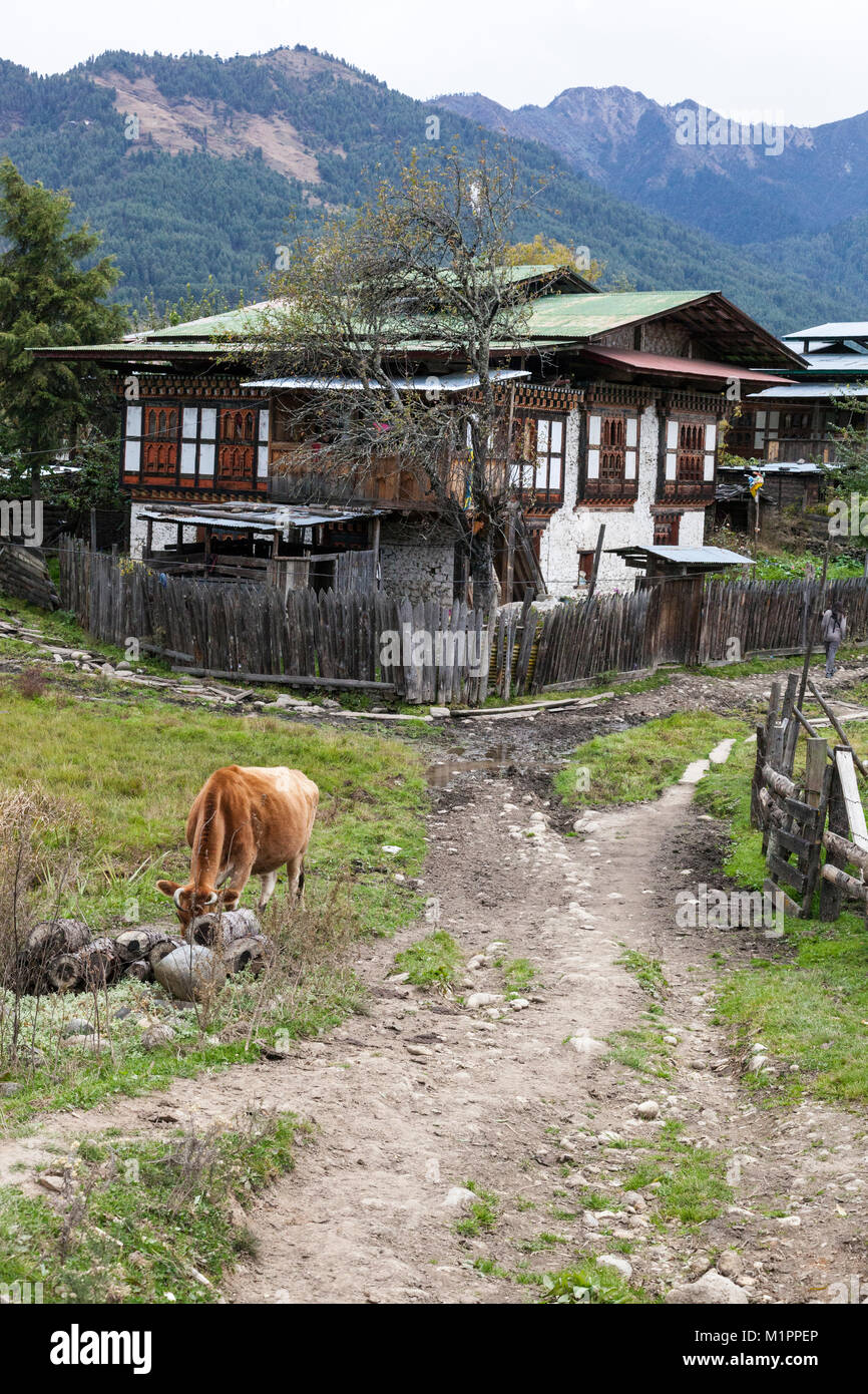 Bumthang, Bhutan.  Typical Rural House near Jakar. Stock Photo