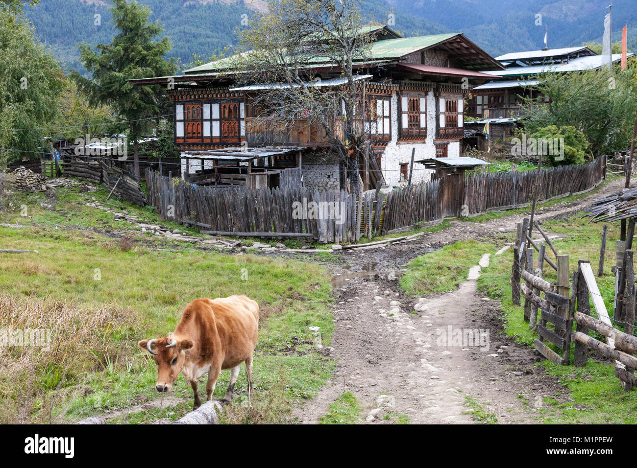 Bumthang, Bhutan.  Typical Rural House near Jakar. Stock Photo