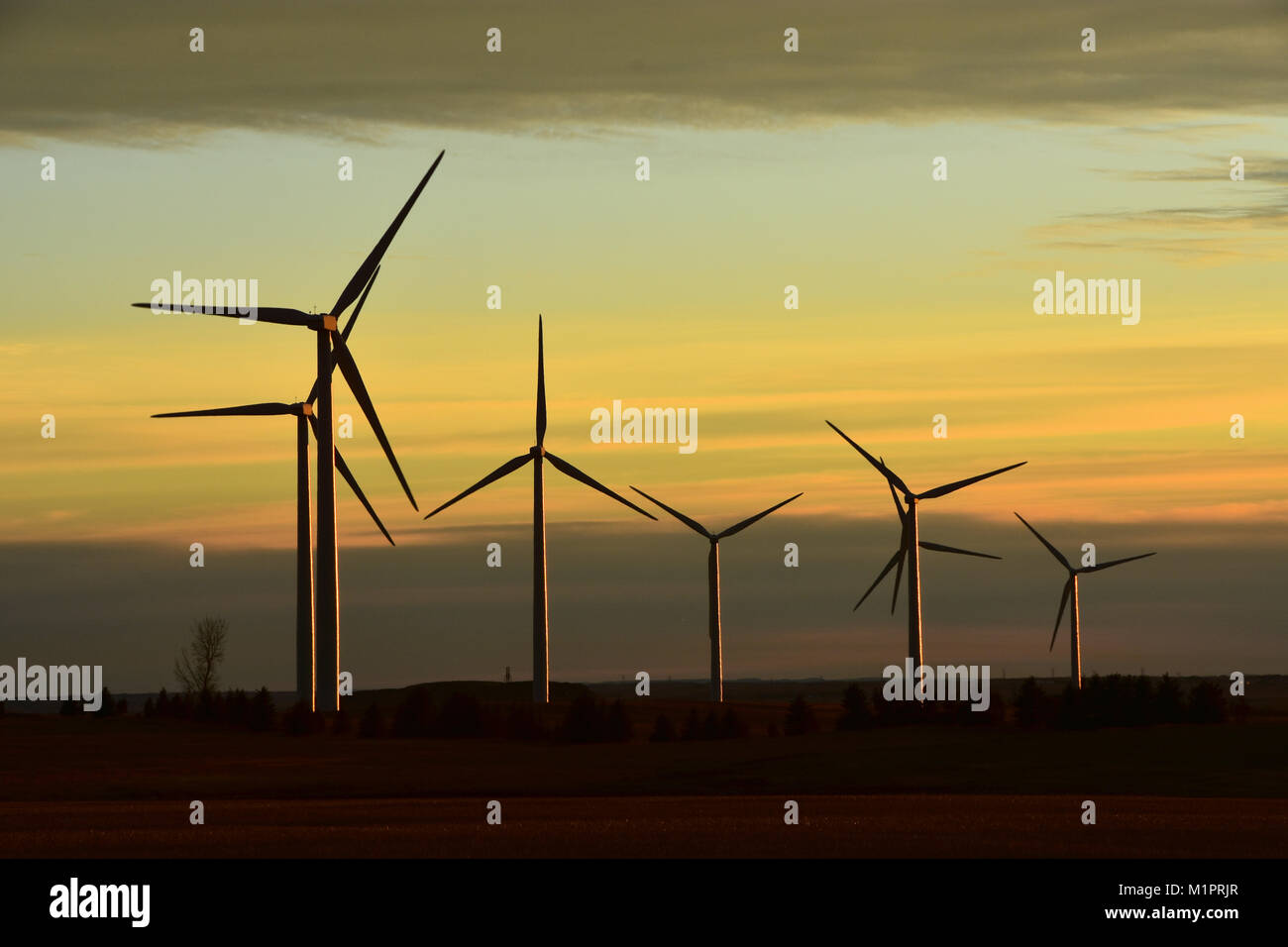 Wind turbine farm producing clean renewable electricity in North Dakota at sunset. Stock Photo