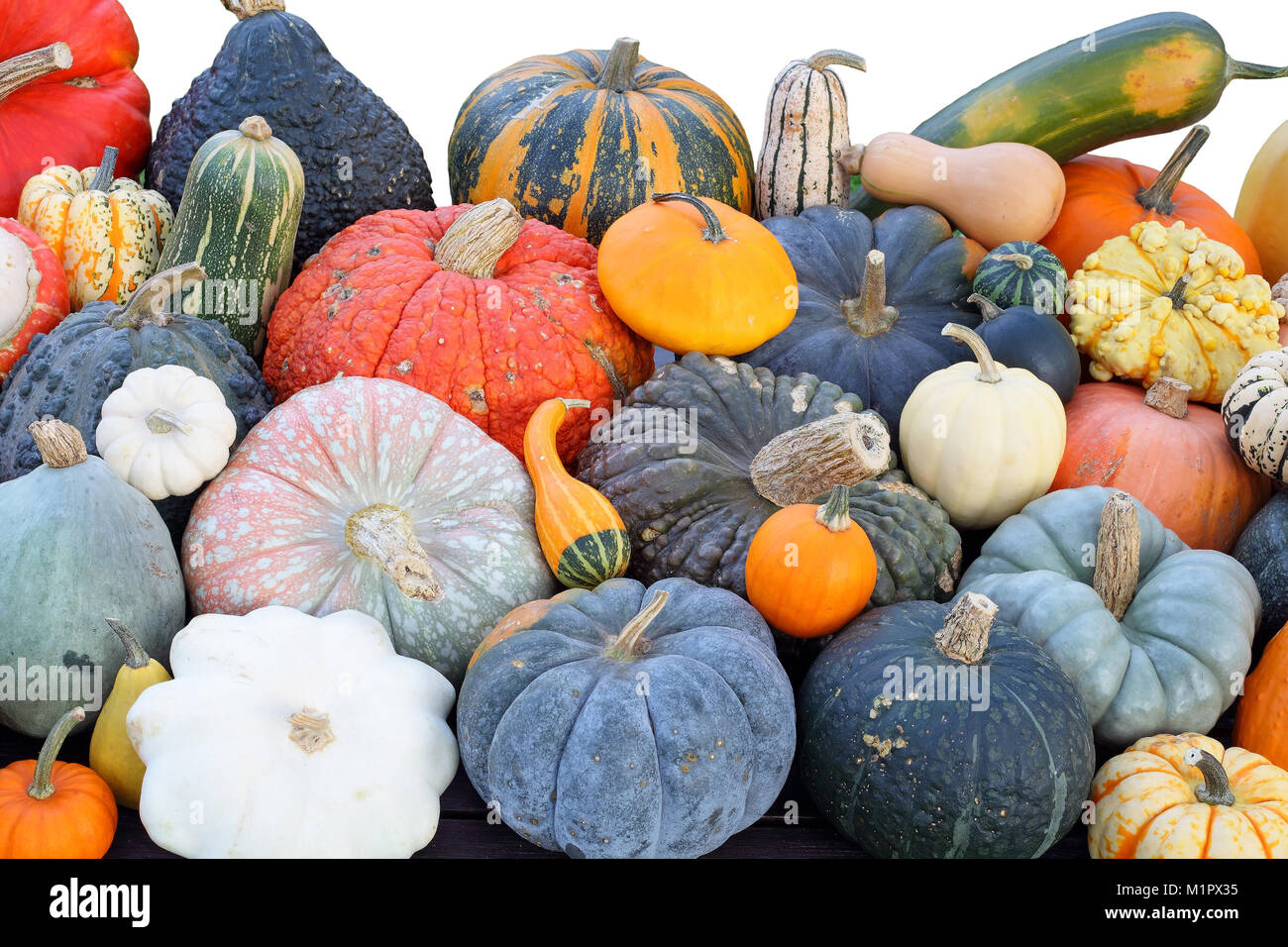 Pumpkin selection in the autumn. All pumpkin species are listed in more detail, Kürbisauswahl im Herbst. Alle Kürbisarten werden noch detailliert aufg Stock Photo