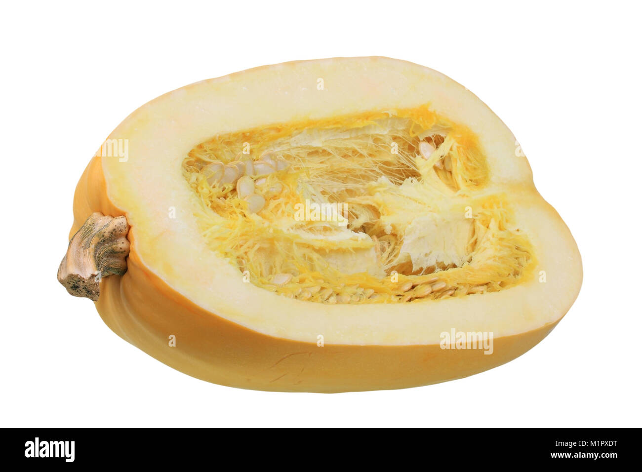 Food Spaghetti Squash Pumpkin Fruit Flesh Decays After Cooking In Spaghetti Like Fibers Hence The Name Speisekurbis Spaghetti Kurbis Schnittbil Stock Photo Alamy