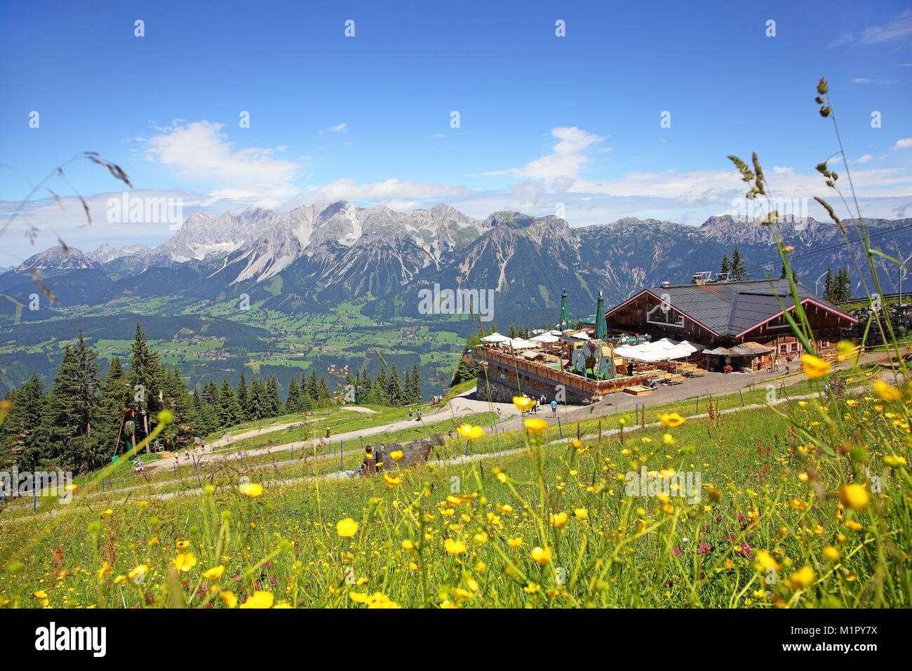 Schafalm on the Planai in front of the Dachstein Massif, Planai, Schladming Tauern, Styria, Austria, Europe, Schafalm auf der Planai vor dem Dachstein Stock Photo