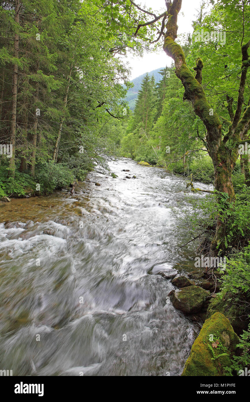 Bach, Rohrmoos-Untertal Untertal, Styria, Austria, Europe, Untertalbach, Rohrmoos-Untertal, Steiermark, Österreich, Europa Stock Photo