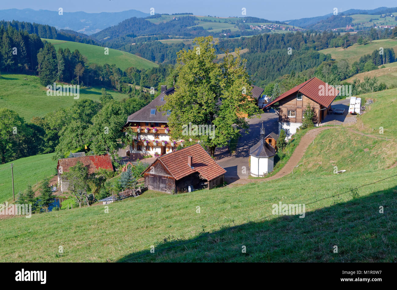 Black Forest Germany Landscape Summer High Resolution Stock Photography and Images Alamy