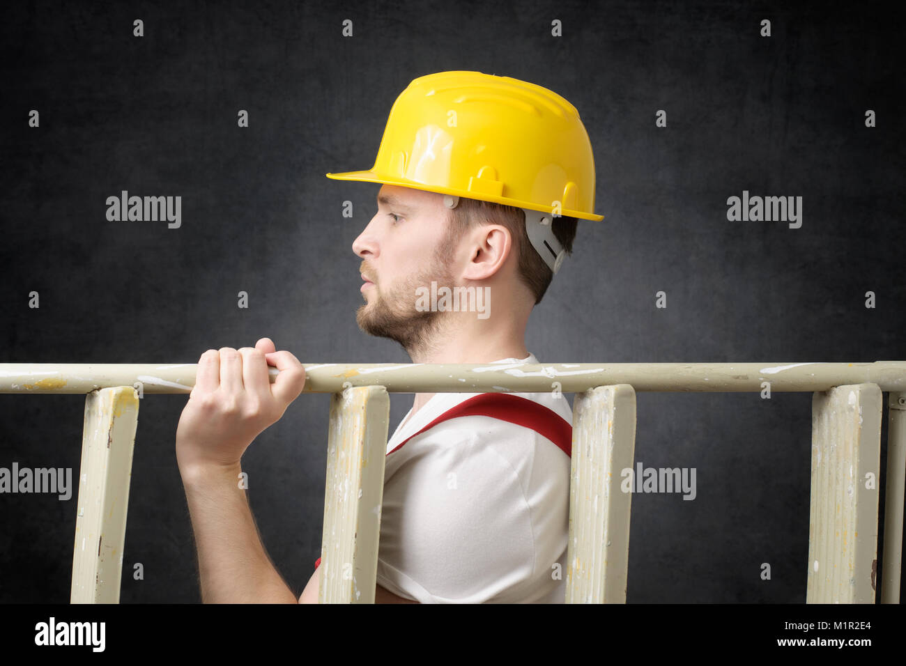 Construction worker with ladder Stock Photo Alamy