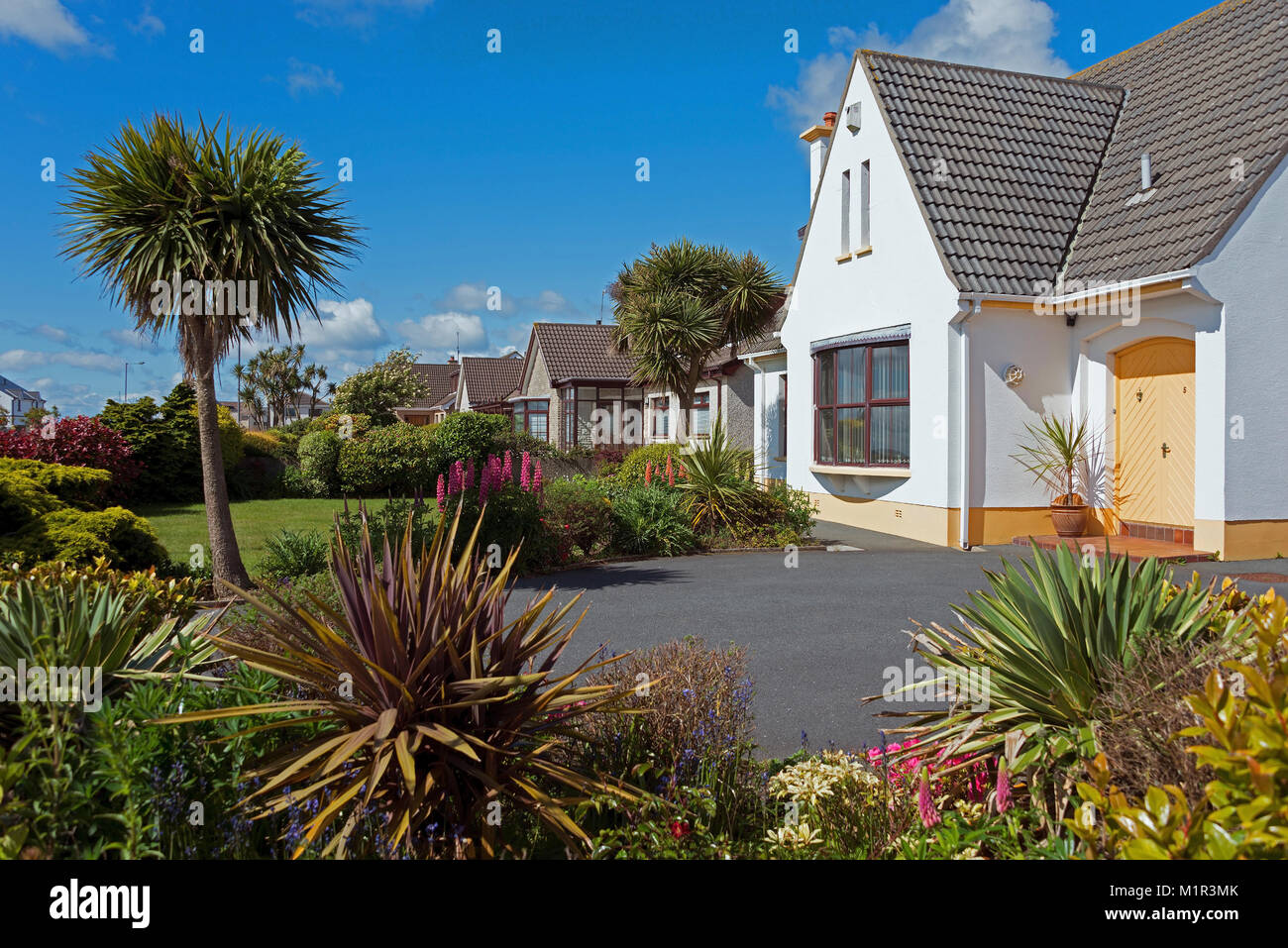 Houses and gardens, Kilkeel, County Down, Northern Ireland, the United