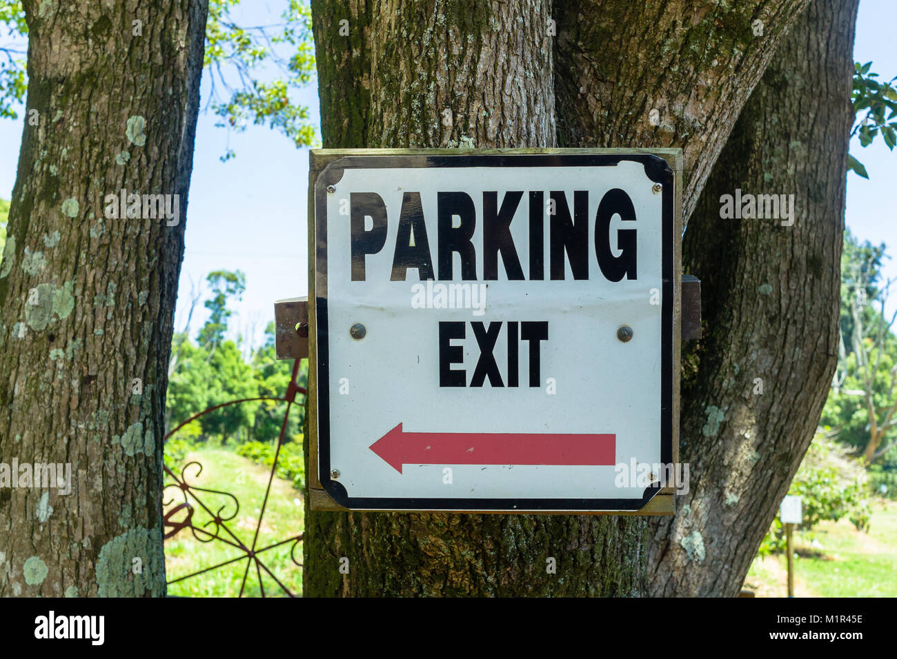 Outdoor parking exit sign directions on farm tree Stock Photo Alamy