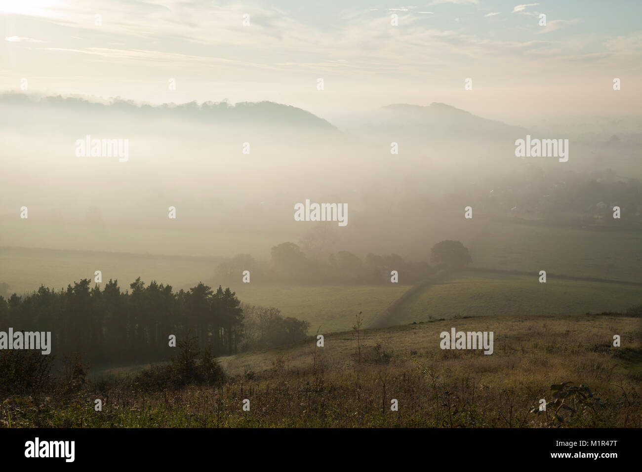 The view from the edge of Coombe Hill wood with the top of Dundon Hill rising above autumn mist and Lollover Hill visible beyond, Somerset, England. Stock Photo