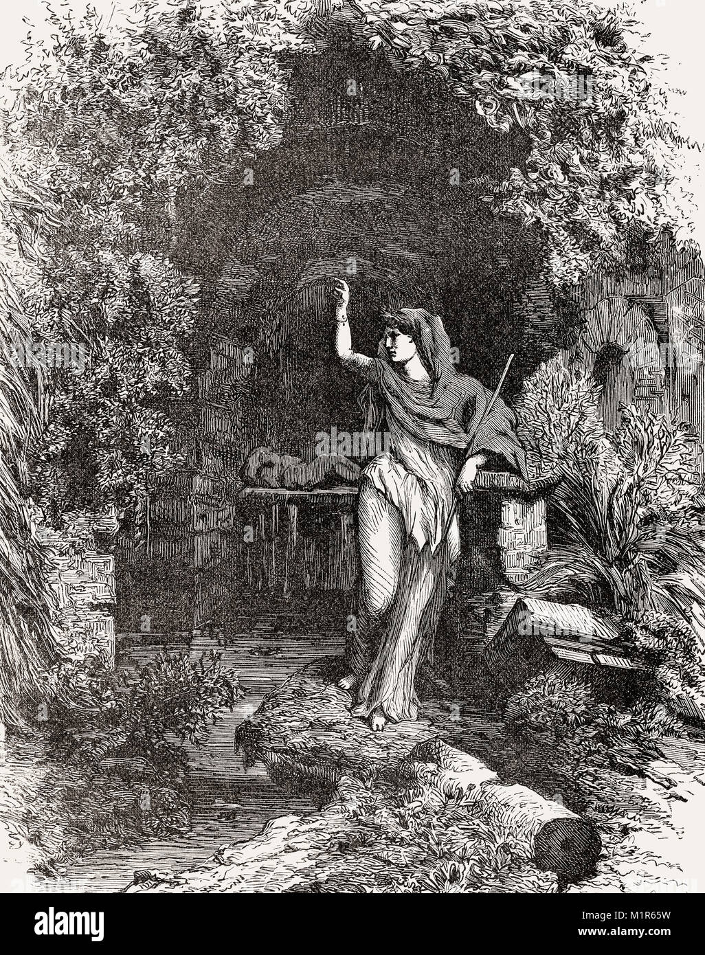 Egeria hires stock photography and images Alamy