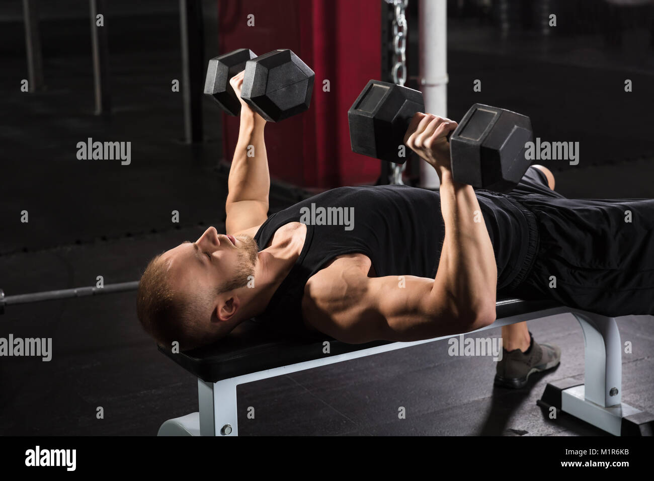 Bench press online back workout