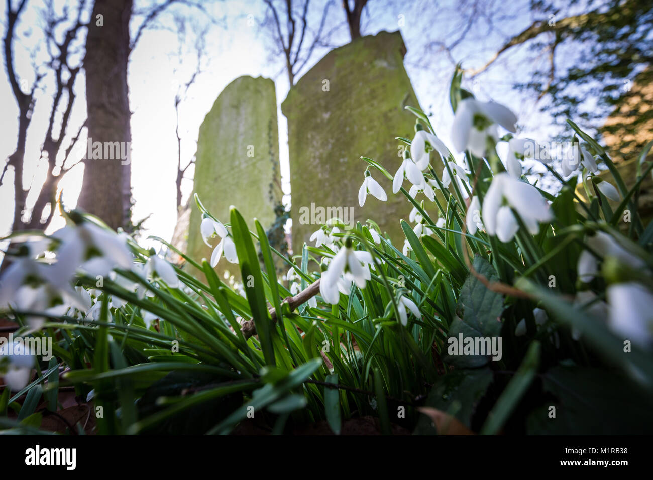 Tower hamlets cemetery park hi-res stock photography and images - Alamy