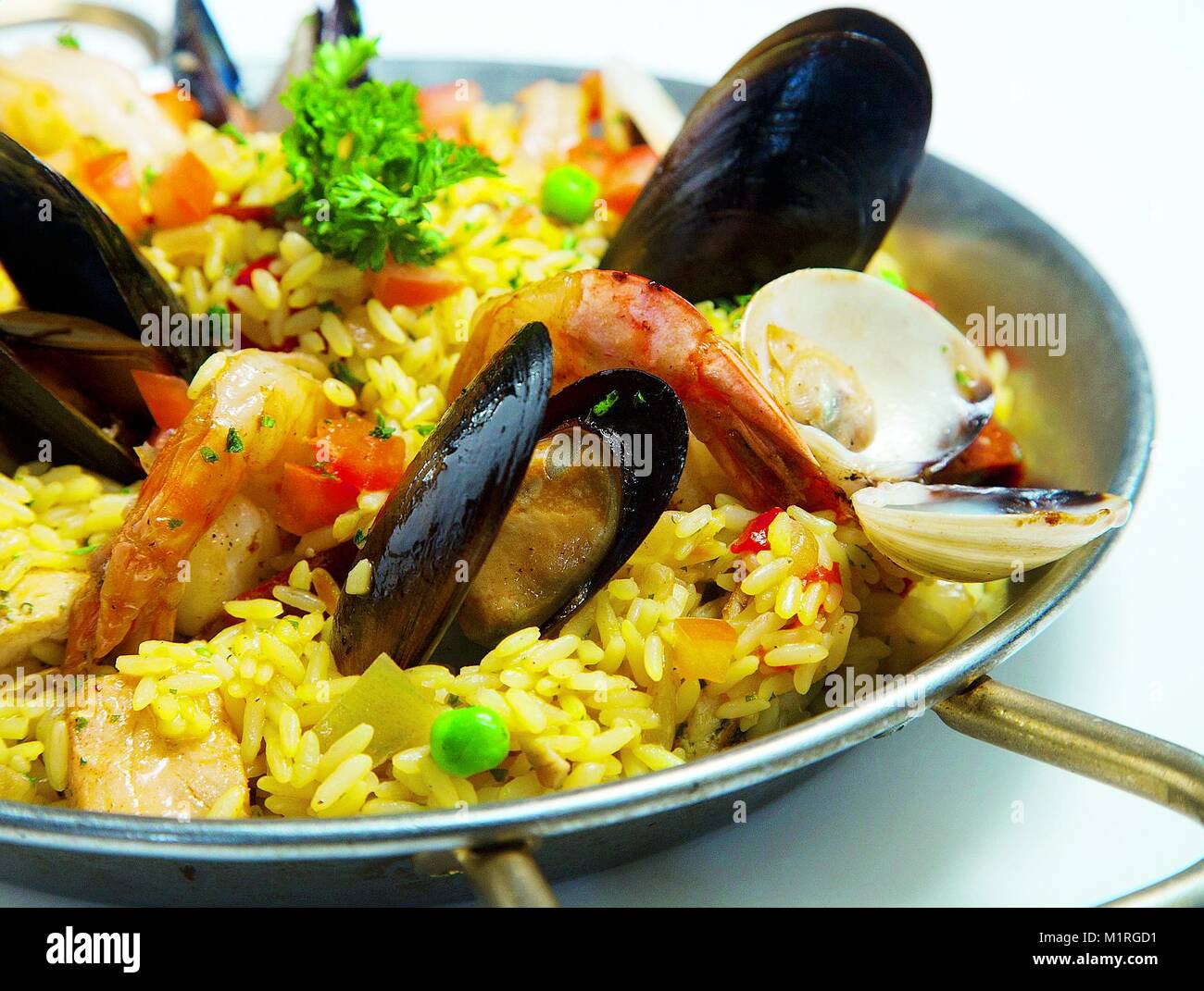 FOTO DE LA COMIDA DE TORO SALAO. EN ESTA FOTO PAELLA DEL TORO CON MARISCOS, POLLO Y CHORIZO