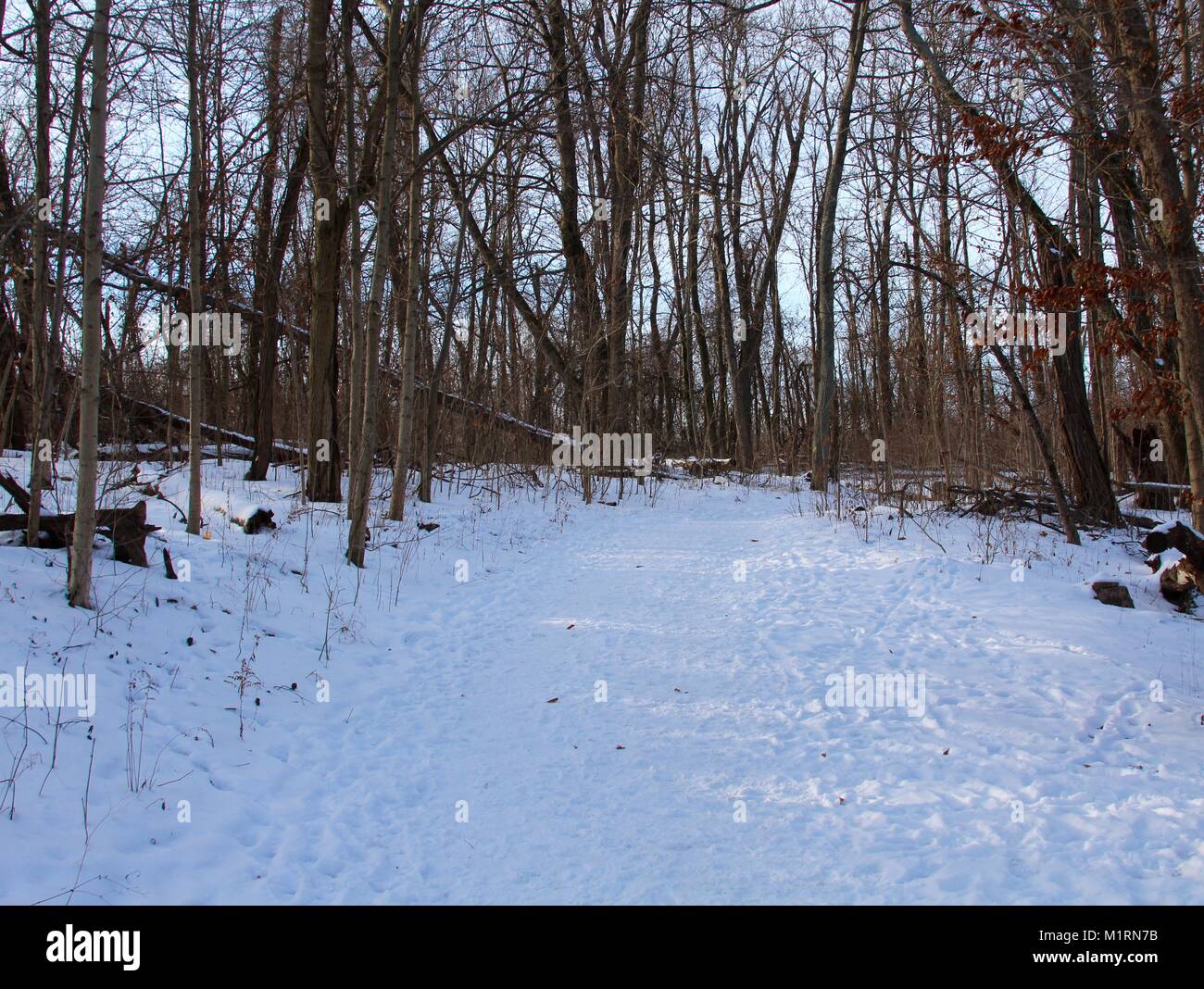 Boots ice path hi-res stock photography and images - Page 6 - Alamy