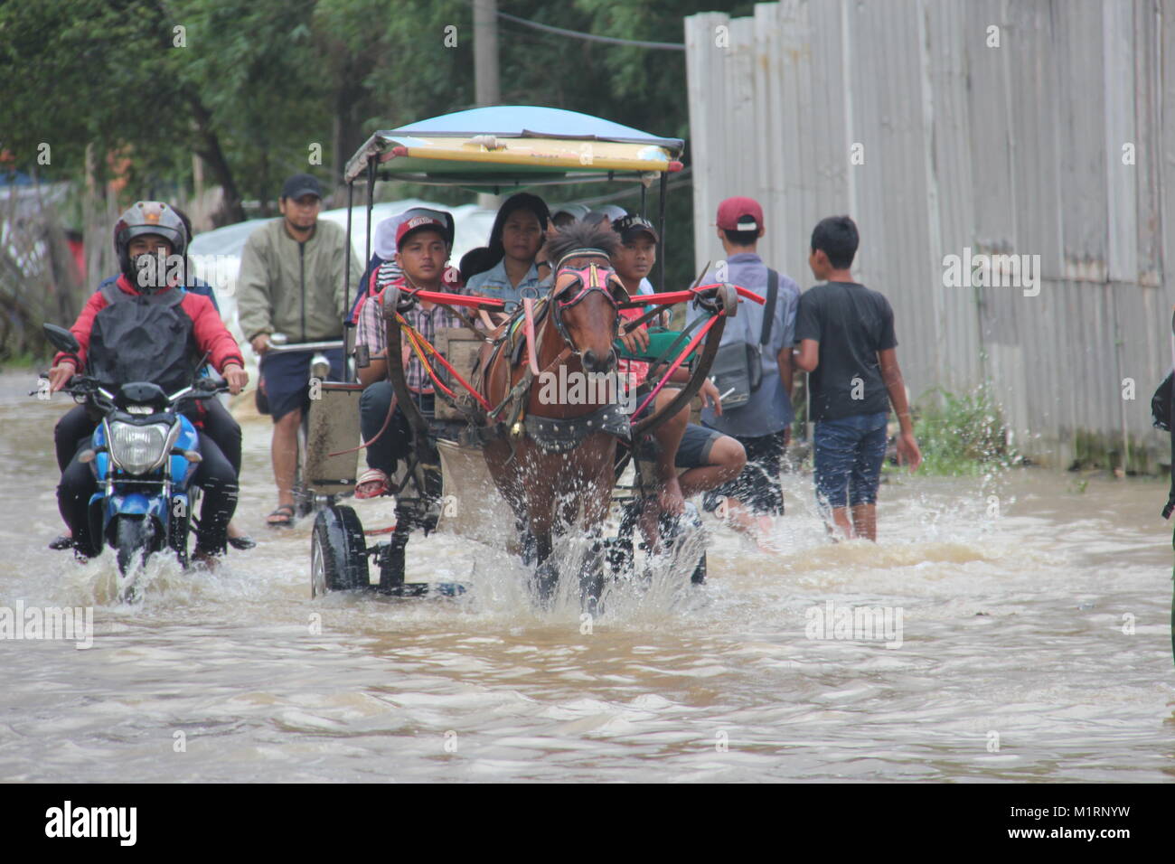 Delman through the floods in Baleendah, Kabupaten Bandung, West Java, Indonesia. Stock Photo