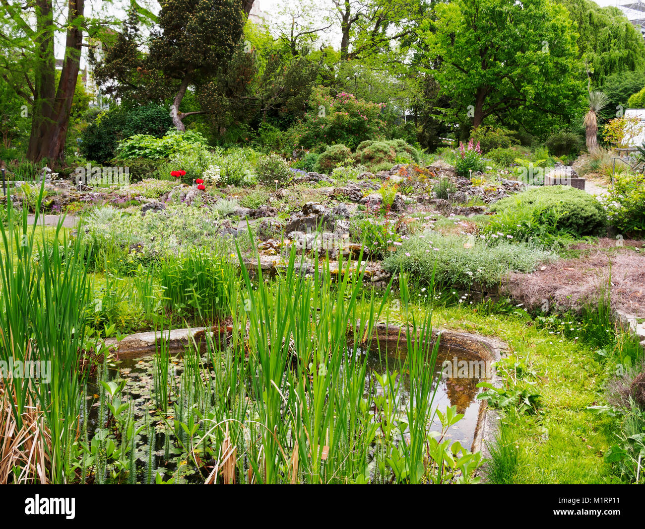 Botanischer garten der universitat basel hires stock photography and