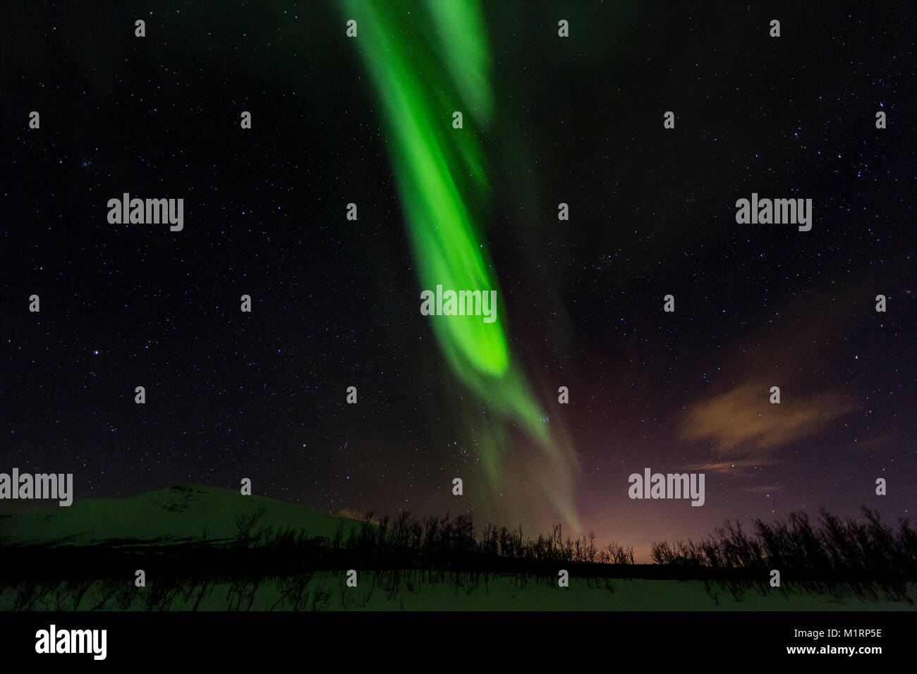 Tromso, Norway. Northern lights display Stock Photo Alamy