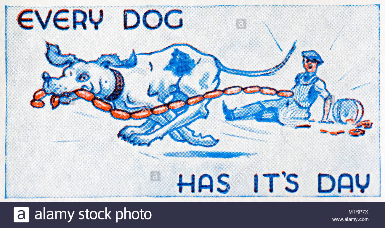 a-dog-will-have-his-day