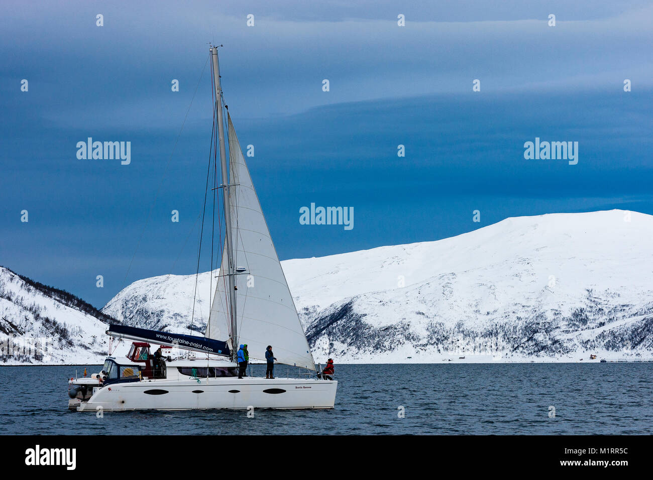 Norway. Catamaran sailing in calm Norwegian fjord Stock Photo - Alamy