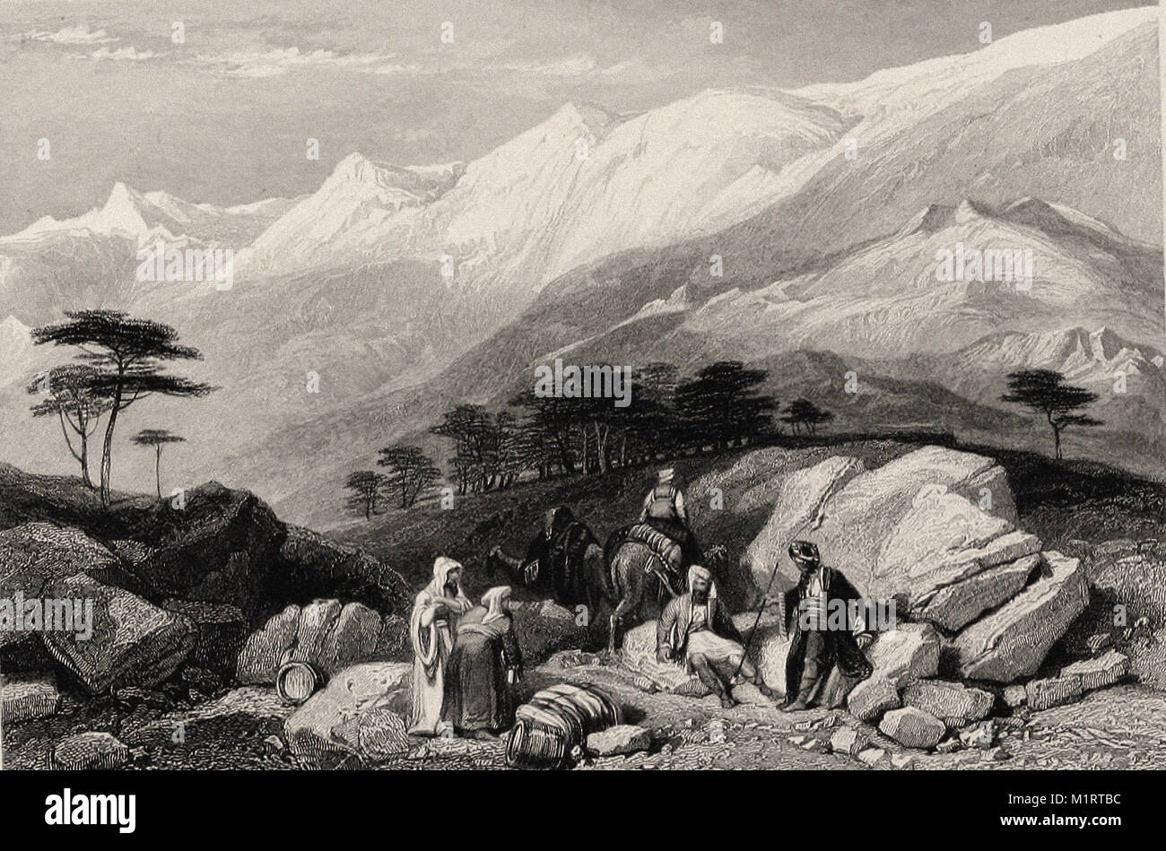 The cedars of LEBANON - Landscape Illustration of the Bible - British engraving 19th century Stock Photo