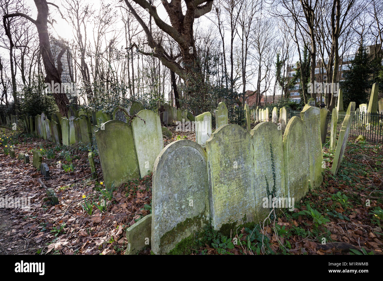 Tower Hamlets Cemetery Park in East London, UK Stock Photo Alamy