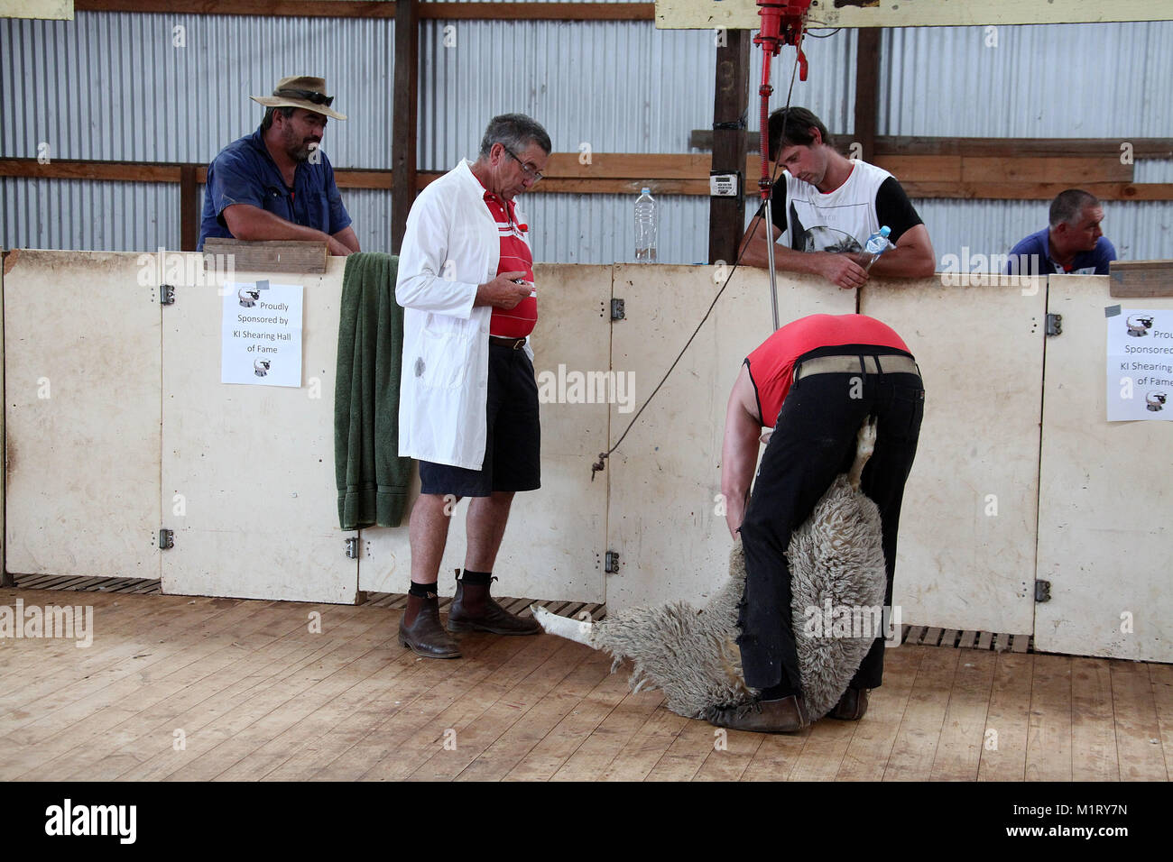 Australia sheep shearing hires stock photography and images Alamy