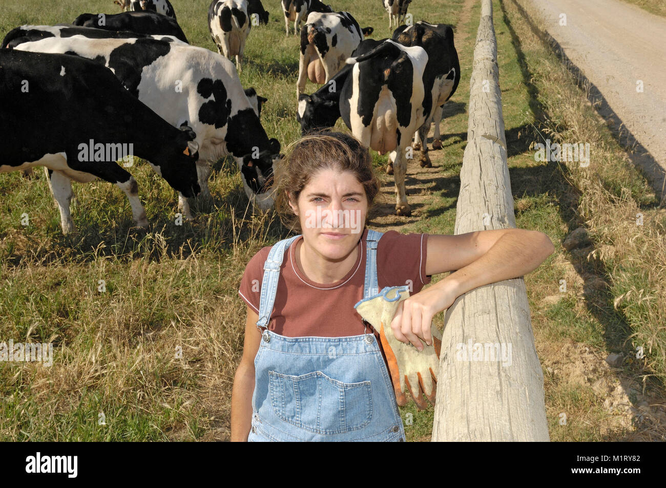 portrait of a farmer with her cows in the field Stock Photo - Alamy