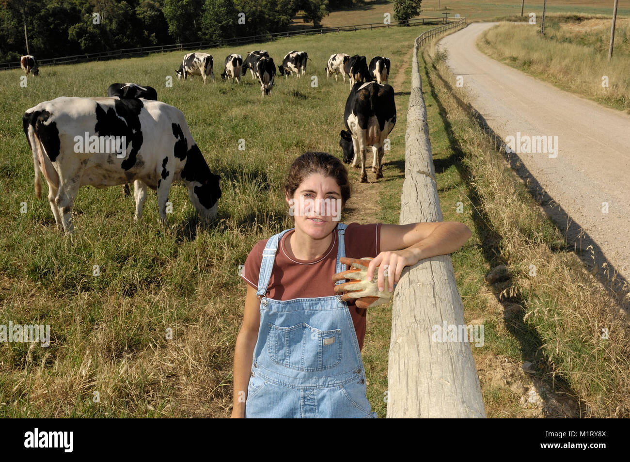 portrait of a farmer with her cows in the field Stock Photo - Alamy