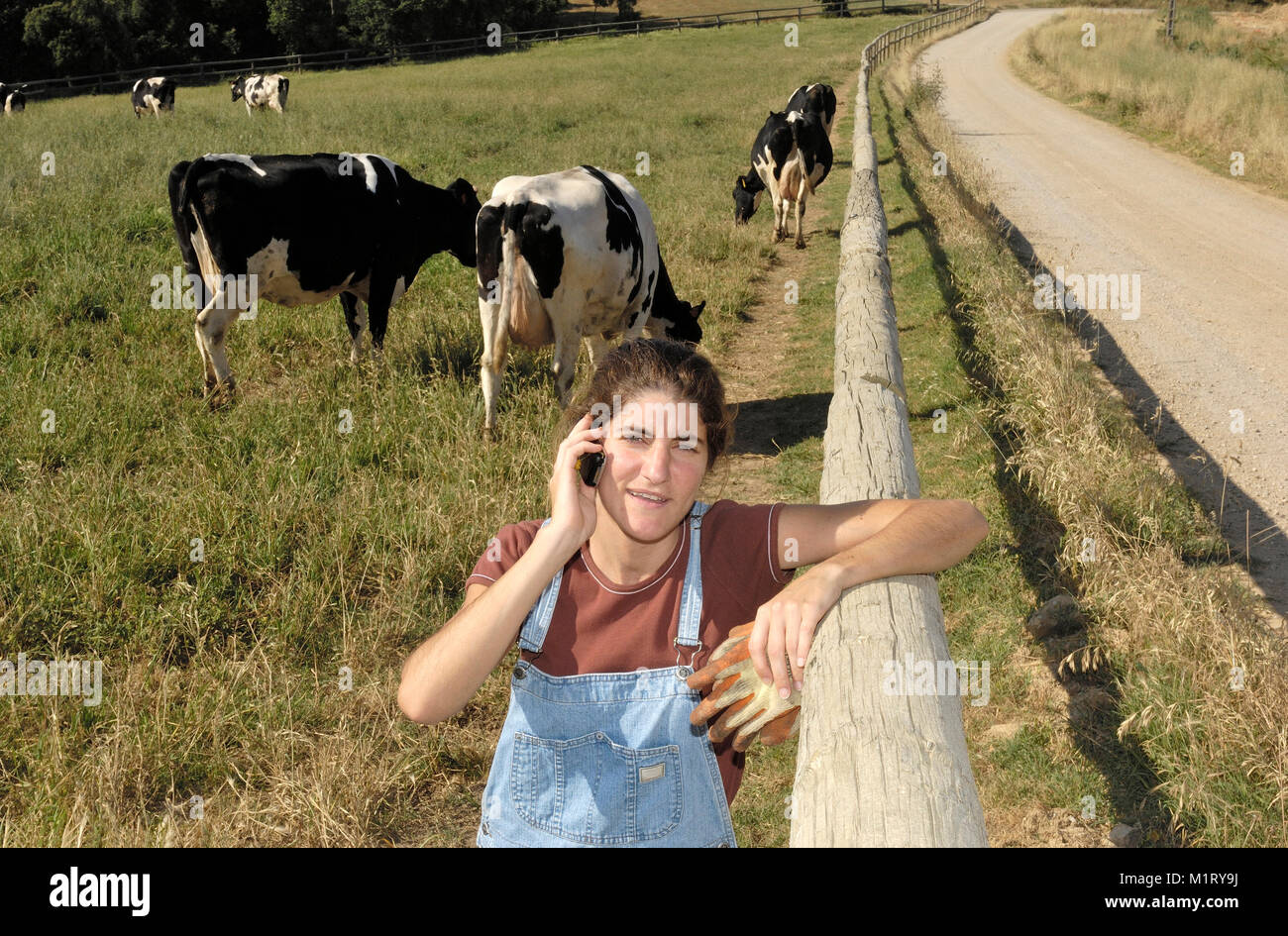 portrait of a farmer with her cows in the field Stock Photo - Alamy