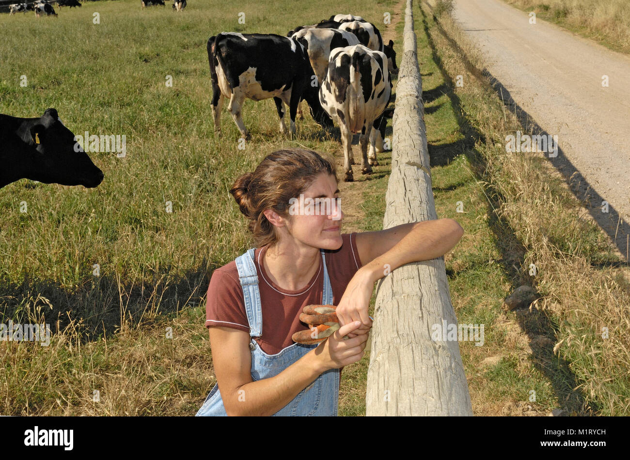 portrait of a farmer with her cows in the field Stock Photo - Alamy