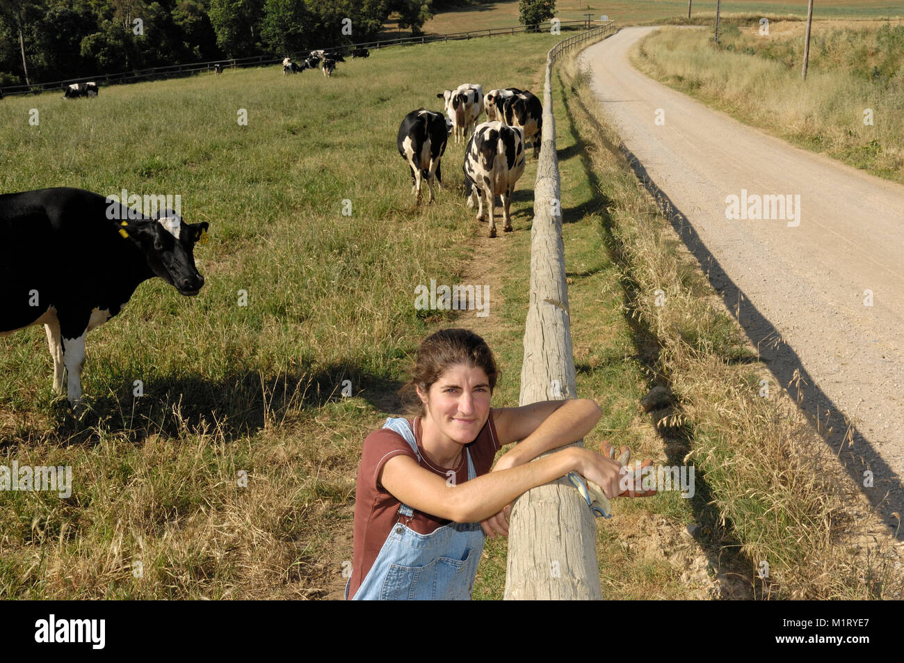 portrait of a farmer with her cows in the field Stock Photo - Alamy