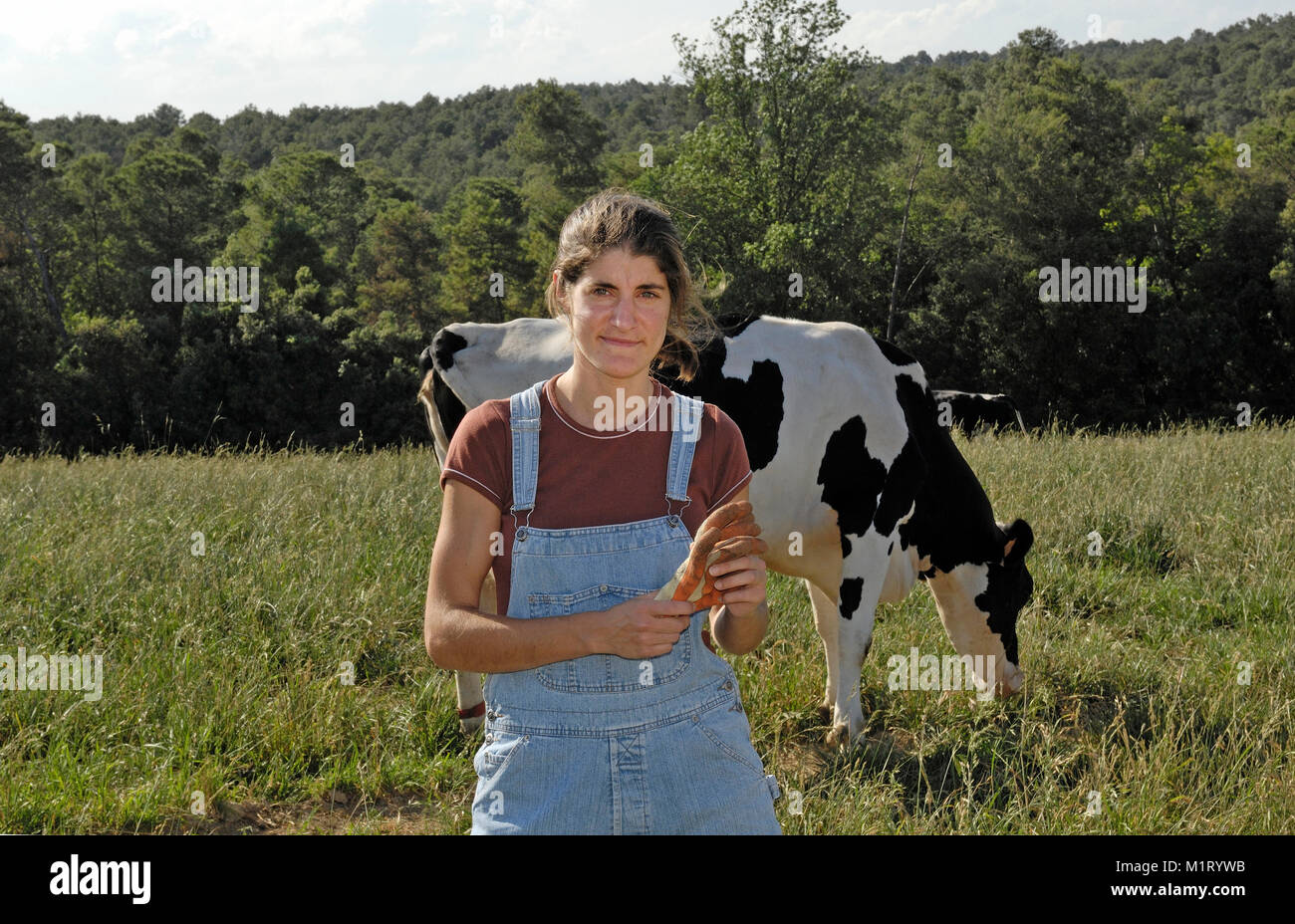 portrait of a woman farmer with some cows Stock Photo - Alamy