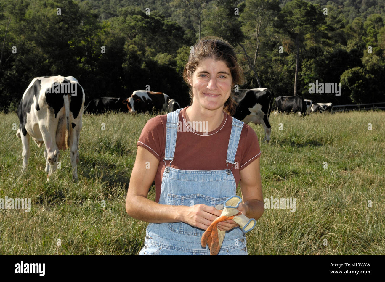 portrait of a woman farmer with some cows Stock Photo - Alamy