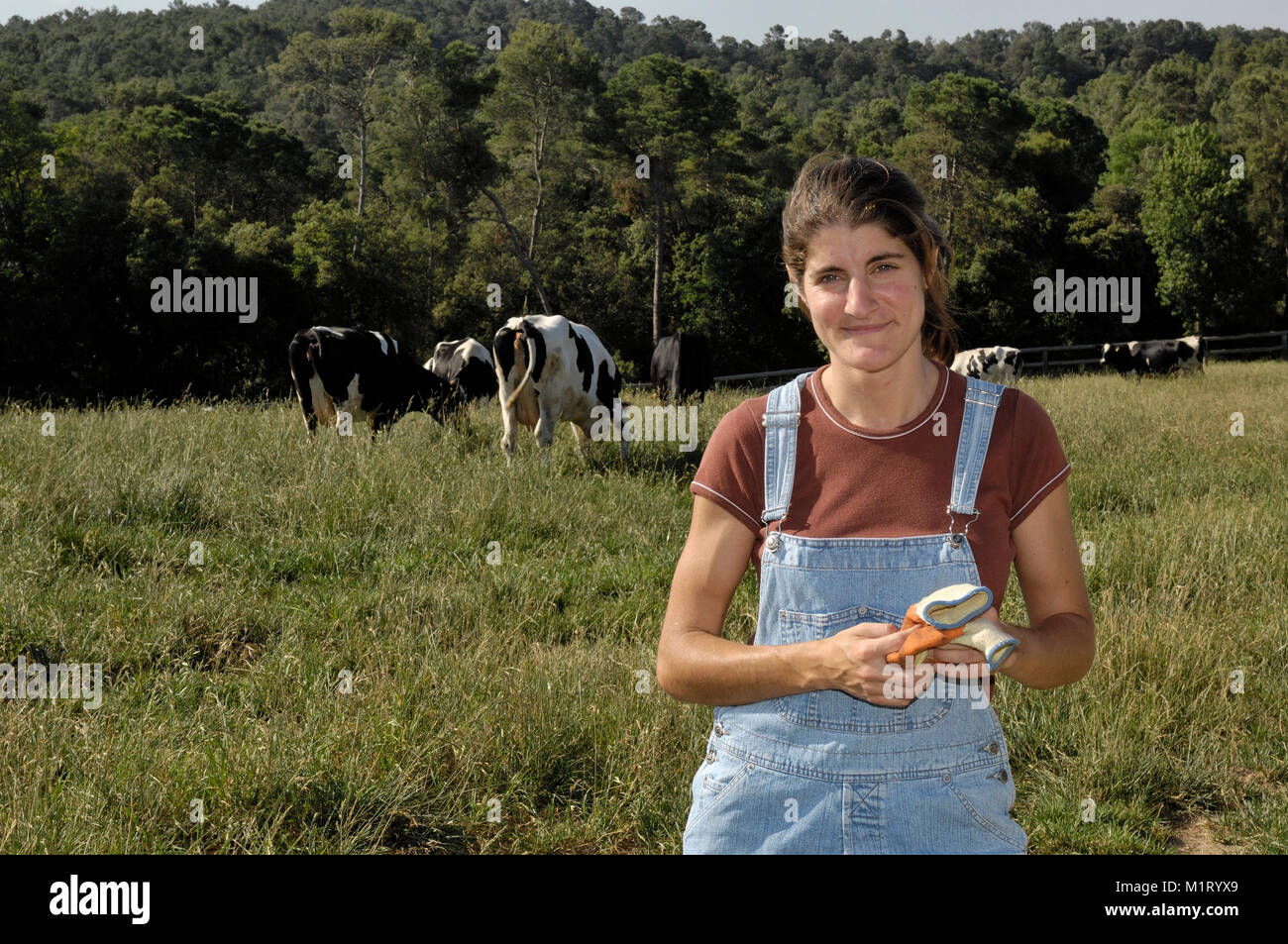portrait of a woman farmer with some cows Stock Photo - Alamy