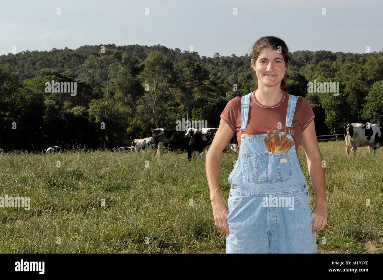 portrait of a woman farmer with some cows Stock Photo - Alamy