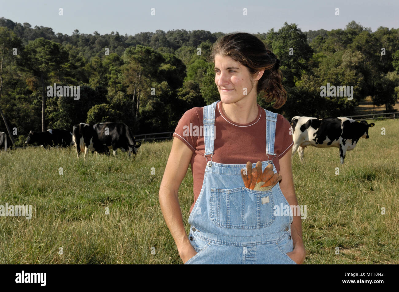 portrait of a woman farmer with some cows Stock Photo - Alamy