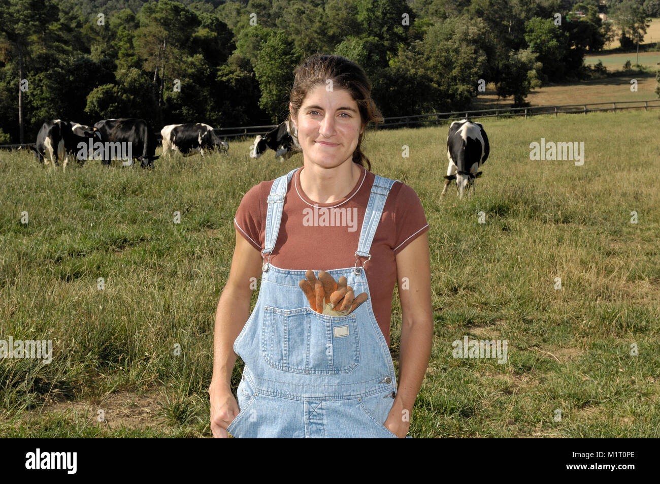 portrait of a woman farmer with some cows Stock Photo - Alamy